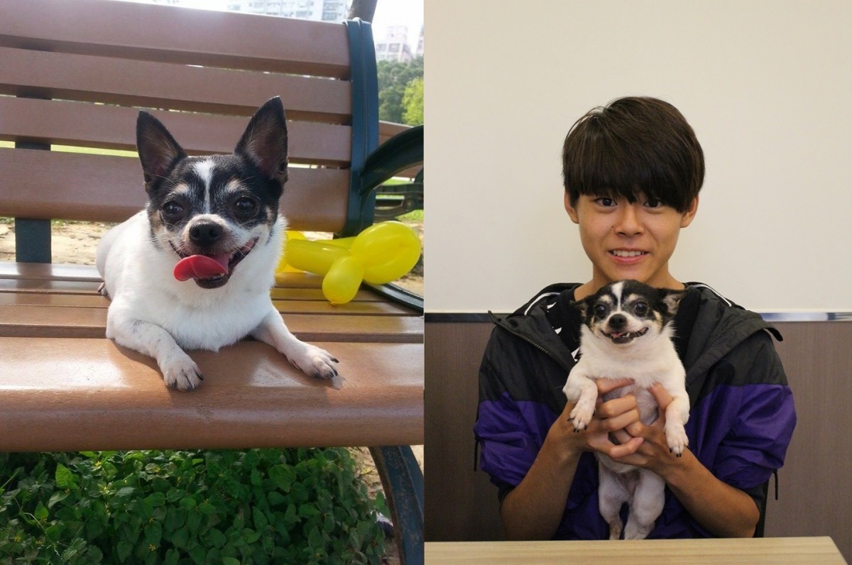 卓于翔和他收養的愛犬「妞妞」。　卓于翔/提供，黃靖雅/攝