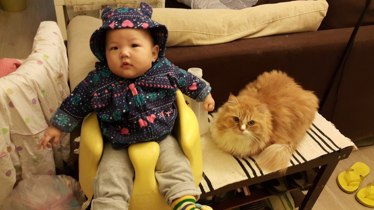 怕小孩過敏就忍痛寵物送人嗎？其實大可不必！做好居家清潔才是解決問題最好的方法。　廖心筠/提供