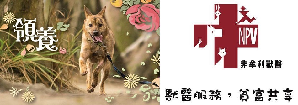 NPV除了提供醫療，也很重視教育宣導，常推廣領養觀念。　取自NPV 非牟利獸醫服務協會