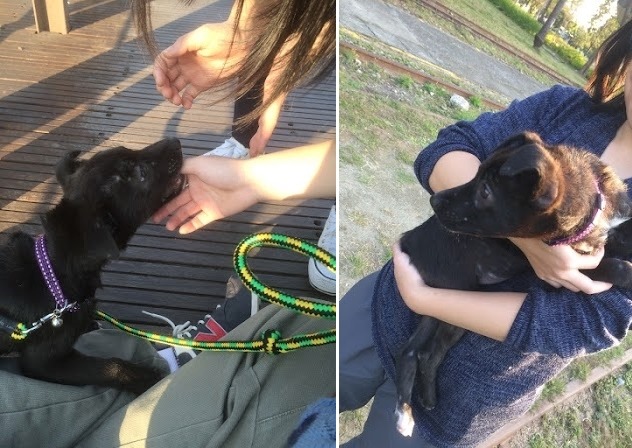 安安長大了，也越變越活潑。　安安媽媽／提供