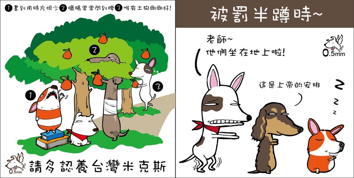 阿堯常在粉絲專頁宣導領養代替購買的觀念。　0.5mm/提供