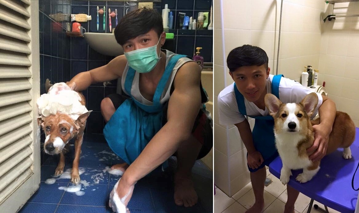對怕洗澡的狗狗，要多用點耐心；洗完澡的狗狗(右)是不是看起來更加雄赳赳氣昂昂的呢？　取自Daddy's coming.- 型男爸爸寵物美容宅急便