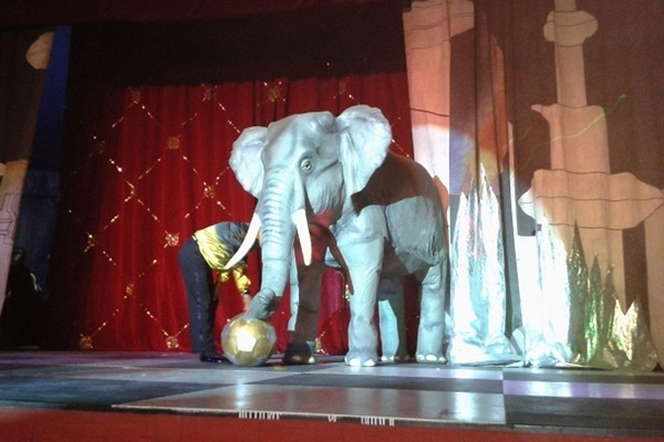 因應動物馬戲團禁令，部分業者嘗試轉型，甚至重金打造機器大象，但效果似乎不如預期。　取自  ALJAZEERA