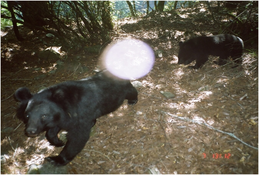 山林是野生動物的家，入山應盡量降低對環境的影響。　取自玉山國家公園管理處