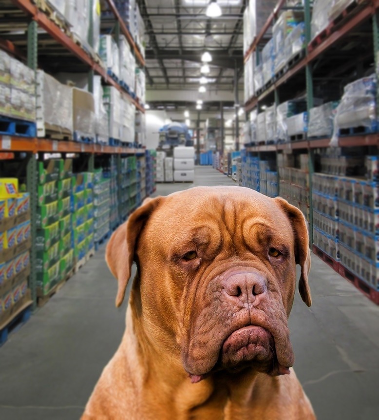 看起來健康的食材搭配，對犬貓來說可能不見得真的能提供完整營養。Jennifer Larsen和其研究團隊，針對市面上的寵物鮮食食譜進行了史上規模最大的調查後，意外發現在200份食譜中，僅有9份能夠完整提供成犬所需的營養成分。　示意圖。取自Flicker: Doug Brown