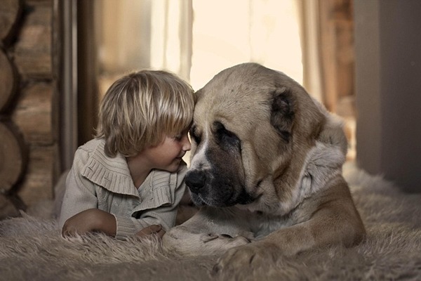 小男孩和狗狗頭靠著頭，在地毯上相依偎。　取自英國《每日郵報》