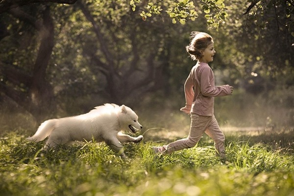 狗狗追著自己的小主人，在森林裡奔跑。　取自英國《每日郵報》