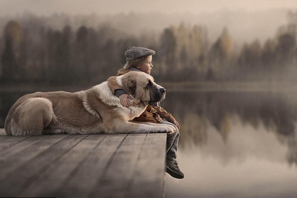 小男孩的手搭在狗狗「肩」上，在霧中看著遠方，在想什麼呢？　取自英國《每日郵報》