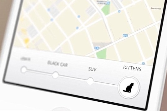 為了貓咪到府療癒服務,Uber還有特別的App設計。 取自英國《每日郵報》