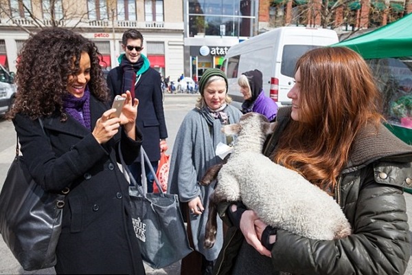 小羊逛大街時,總是吸引許多民眾駐足拍照。 取自英國《每日郵報》