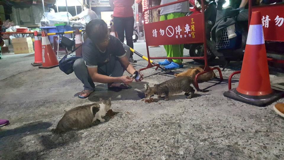 志工用罐頭誘捕貓咪。　取自TNVR-結紮團隊