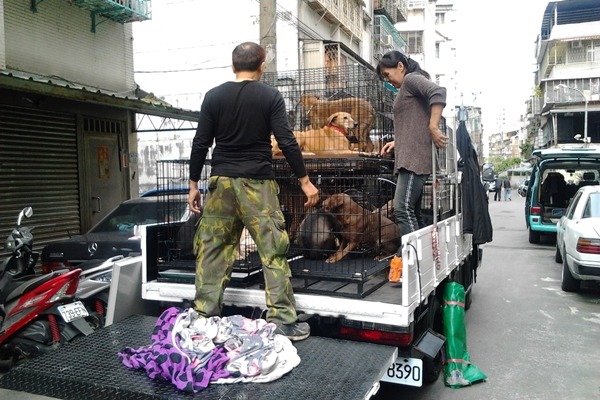 現場工作人員把乘著吊車下來的狗狗運上貨車。　照生會/提供