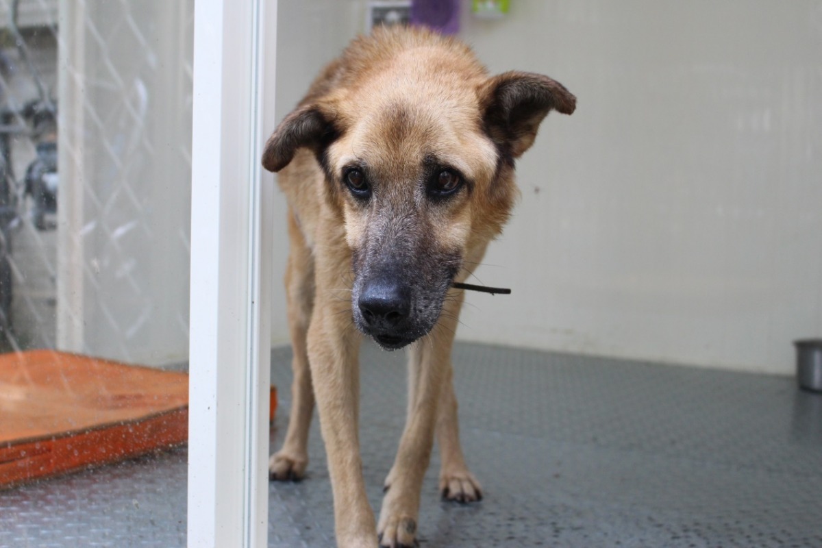 優漢的獨立小套房配有冷氣，旁邊還有一台洗衣機，方便志工隊同學清洗優漢的東西。　資料照。黃靖雅/攝