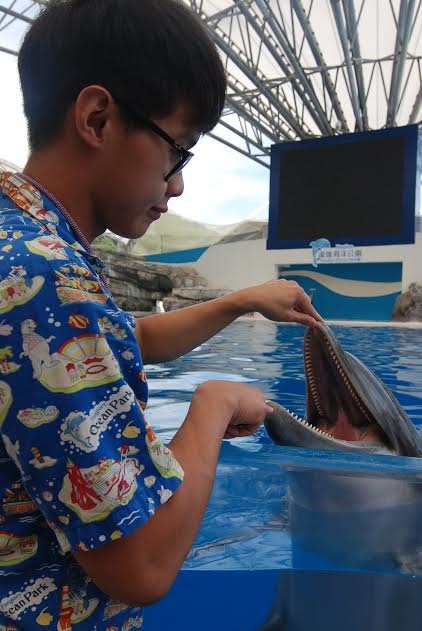 海豚每天都要檢查牙齒，兩天要量一次體溫、體重。　遠雄海洋公園/提供