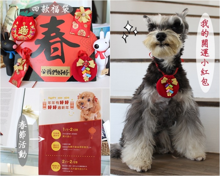 寵物美容業者推出春節應景活動,飼主加價36元就可以買一個寵物配戴的小福袋,福袋中有各式折價券,讓寵物能獲得實質的「過年紅包」唷! 何宜/攝