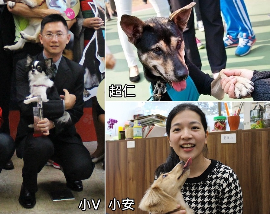 三隻狗狗因校犬計畫而重獲新生。　黃靖雅/攝，取自大仁國中校犬專區