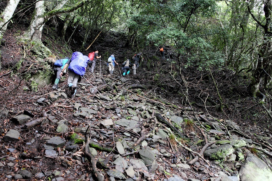 原民遺跡和黑熊陷阱。　黑熊森林/提供