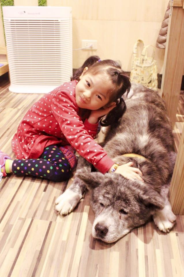 灰熊非常受到小朋友歡迎。 取自攜旺