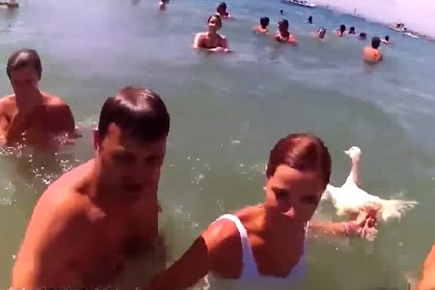 每年8月，羅薩斯鎮都有眾多男女參加追鴨活動。　翻攝自《每日郵報》