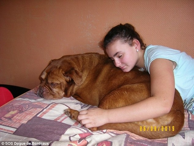 恭喜雅典娜！找到疼愛他的好主人！　取自daily mail