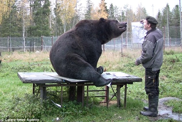 Juuso看起來很滿意自己的作品！　取自《Dailymail》