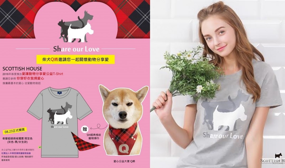 柴犬Q將也力挺浪朋友！　SCOTTISH HOUSE/提供