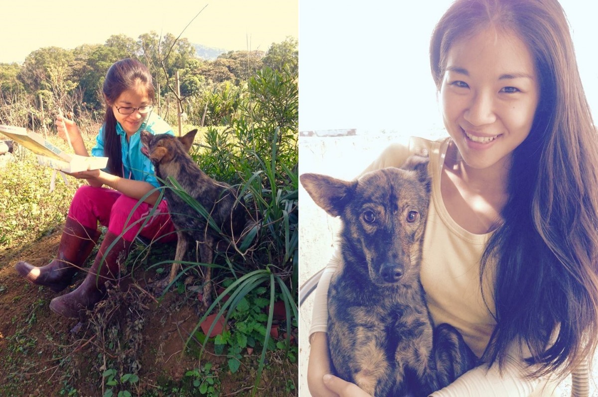 看到Cara的故事，你是不是也覺得非常感動呢？　取自The PACK Sanctuary