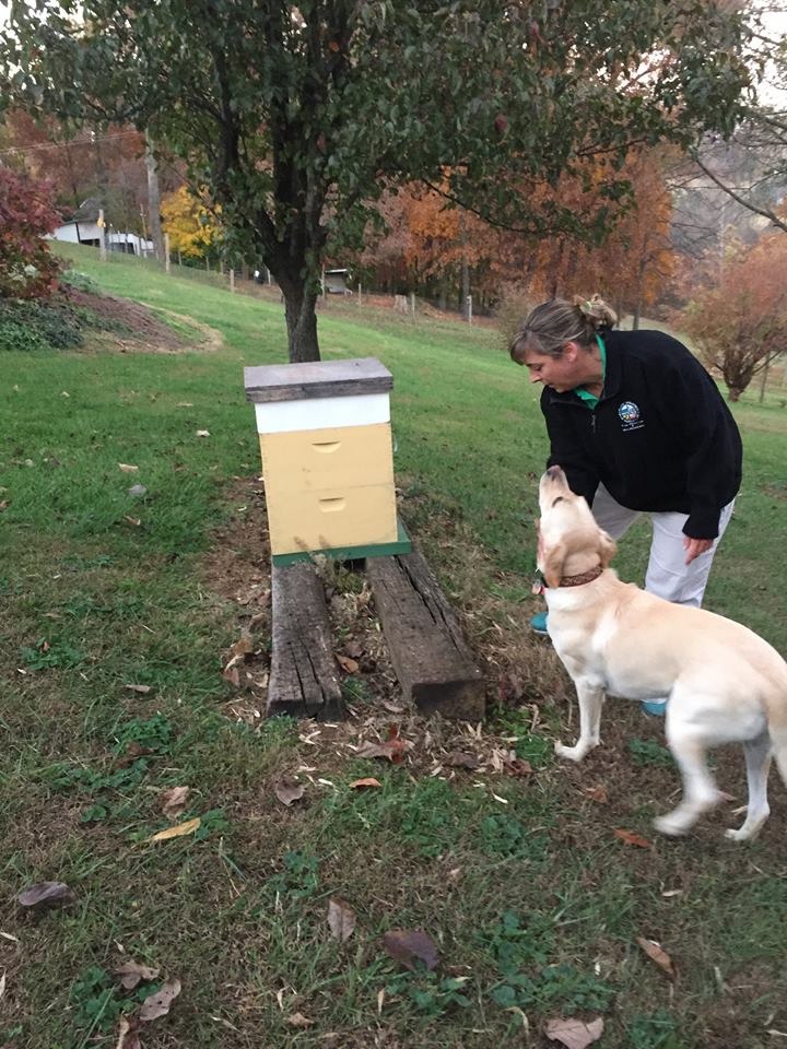 麥克跟派斯頓站在蜂窩旁邊。麥克取得美洲幼蟲病的檢驗資格後,馬里蘭州就答應幫忙付麥克的獸醫費。Photo: Maryland Department of Agricul