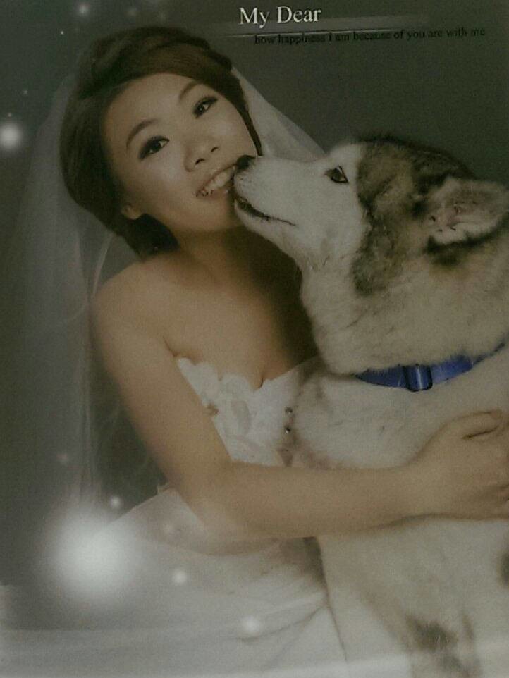 表現越來越好的饅頭，跟主人一起拍婚紗照！　游凱群/提供