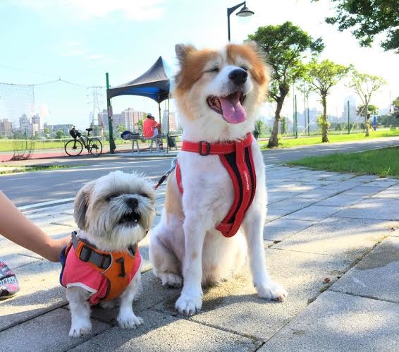 娜娜笑起來非常可愛。　娜莎爸/提供