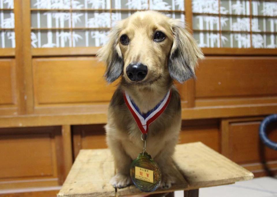 【圖片三，小賴第一次參加賽跑得到冠軍】