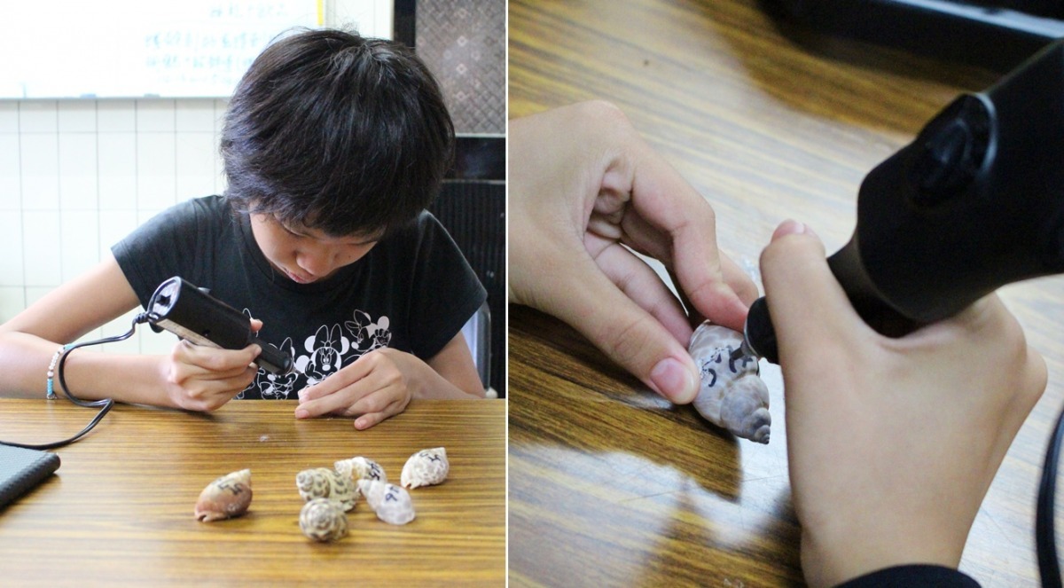 每顆貝殼上刻的都是流水編號。 黃靖雅/攝