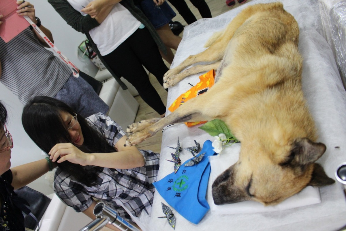 大家向優漢一一道別，放上祝福的紙鶴。　黃靖雅/攝