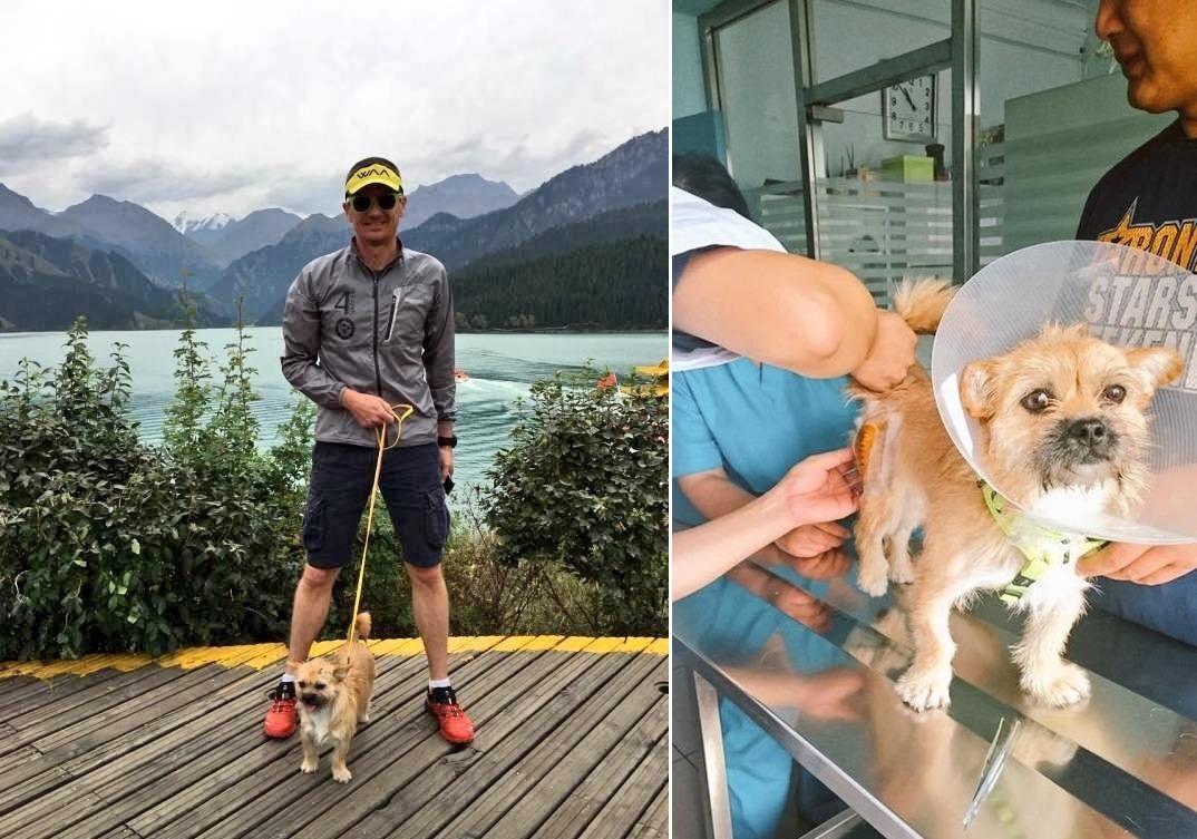 Dion和Gobi感情非常好。　取自香港動物報