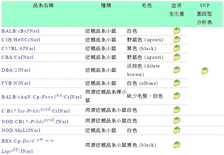 圖為小鼠的品系編號。 截自國研院國家實驗動物中心官網