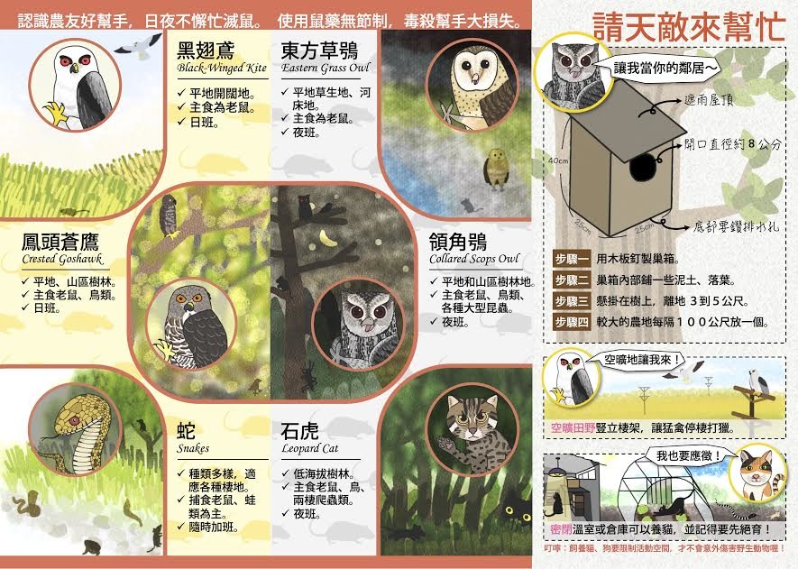 圖為屏科大鳥類生態研究室、野生動物追思會合製的「鼠害生物防治宣導摺頁」。