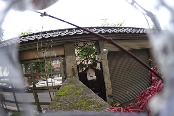 戶外貓咪眼中的世界,比我們想像中的美。 大亦睿與三喵卡樂/提供