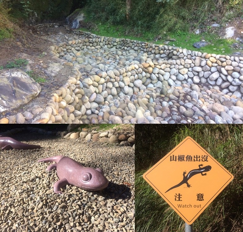 野溪整治過後的樣貌、兩座山椒魚雕像及告示牌。　傳家寶/攝，野生動物追思會提供
