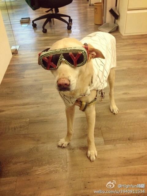 小High董事長架式十足。 取自小High粉絲專頁