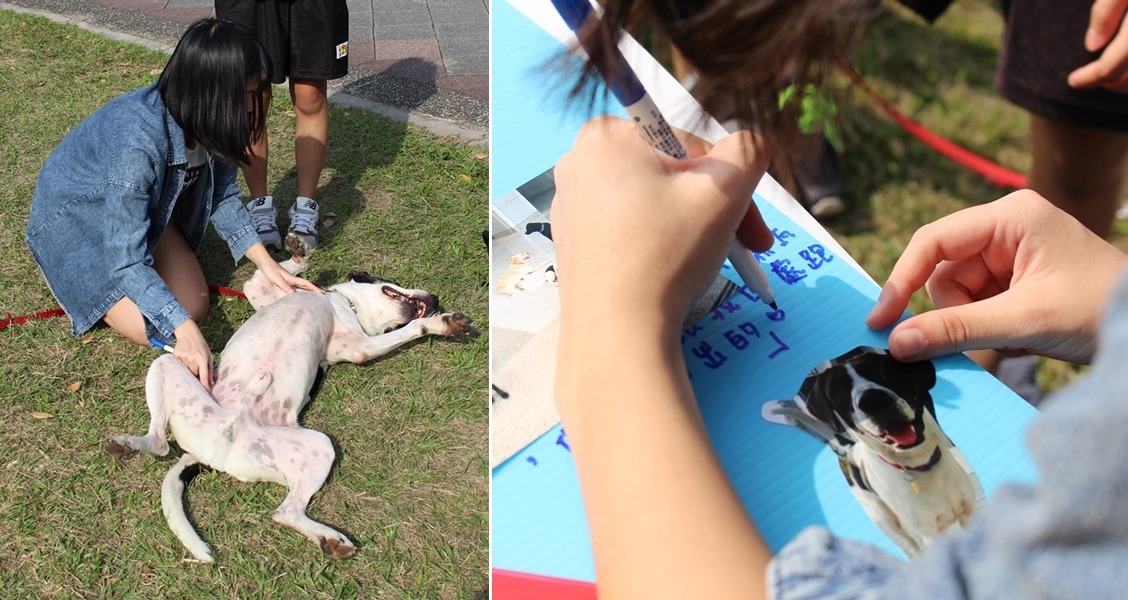 同學們在留言板上留話給牛牛。 黃靖雅/攝