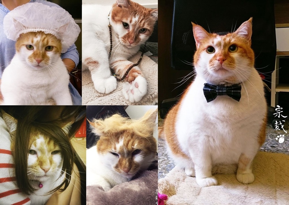 總裁的造型千變萬化。 取自總裁的上班日常