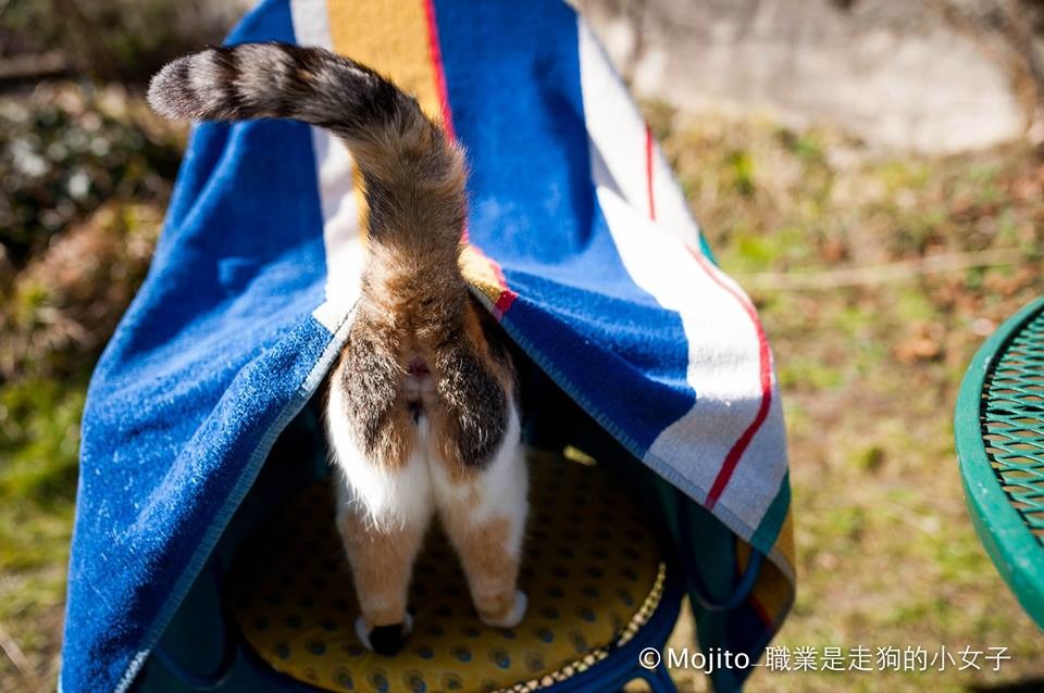 「嘿！裡面好玩嗎？」　Mojito/提供