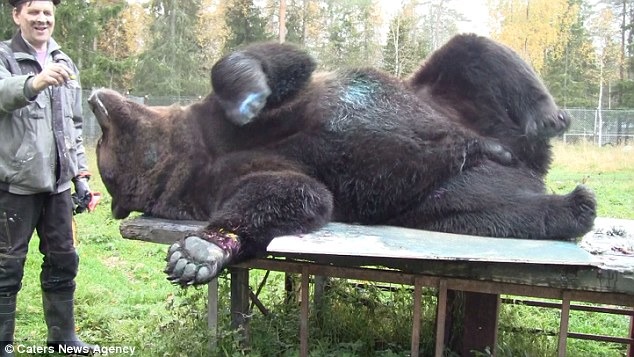 這些畫是這樣被創作出來的。　取自《Dailymail》