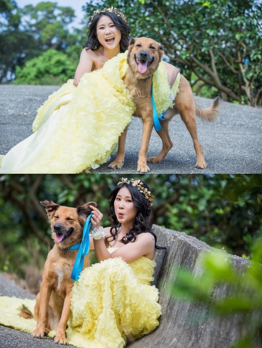 有毛孩入鏡的婚紗照，少了幾分優雅，卻多了更多逗趣溫馨。　陳慕勤/提供