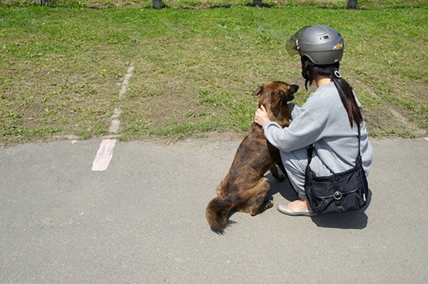 過年時民眾會到河濱放鞭炮，可能會嚇到流浪狗。此為示意圖。　Flickr_關懷生命協會