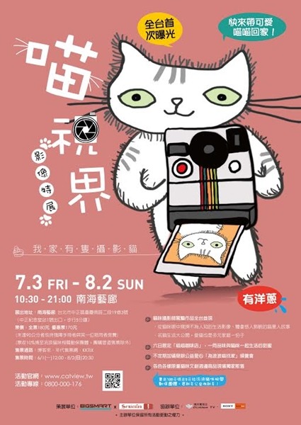 DNF Studio澔岳國際/提供