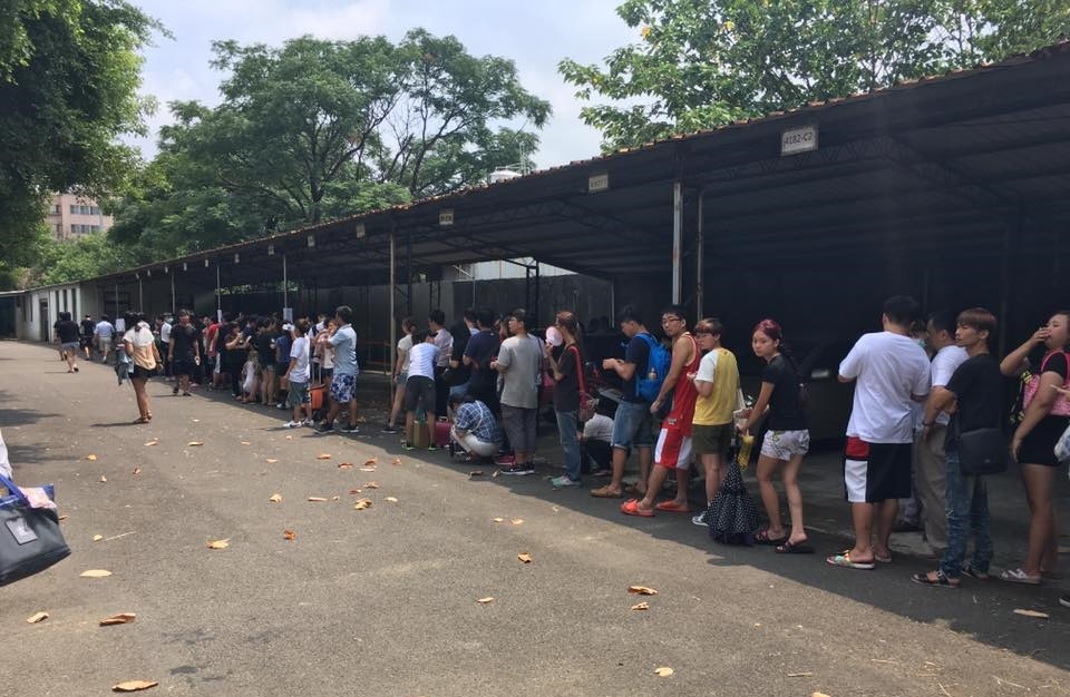 把狗給心懷不軌的人或有品種迷思的人「免費領養」，對這些狗來說是好事嗎？　動保志工/提供