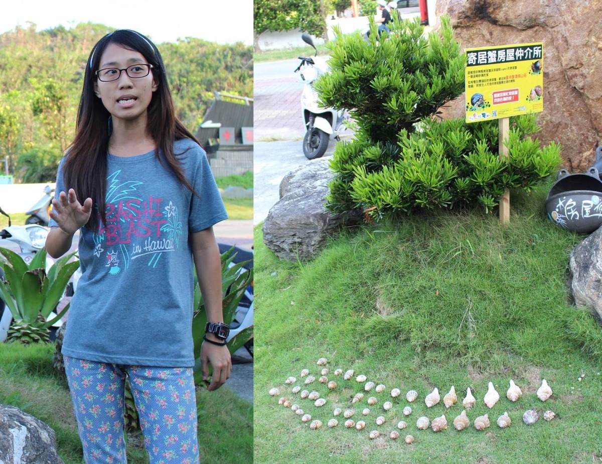 星月屋老闆娘的女兒也是護蟹大使。 黃靖雅/攝