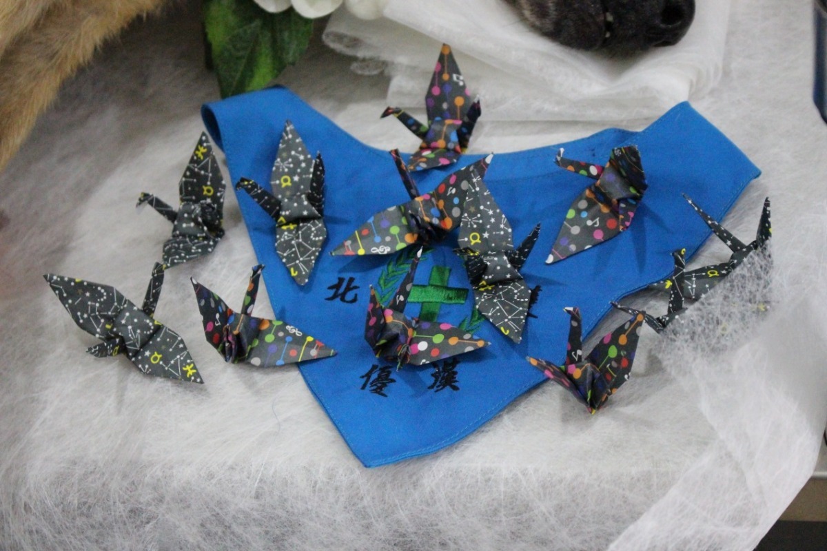 每隻紙鶴都帶著對優漢滿滿的愛，將在另一個世界繼續陪伴牠。　黃靖雅/攝