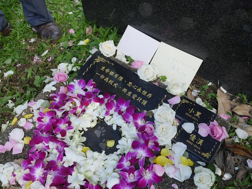 北護校犬隊準備的墓誌銘，寫著生命雖有限，中心永恆存，一日為校犬，終生愛北護。　葉明理/提供